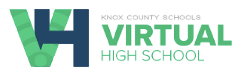 VHS Logo